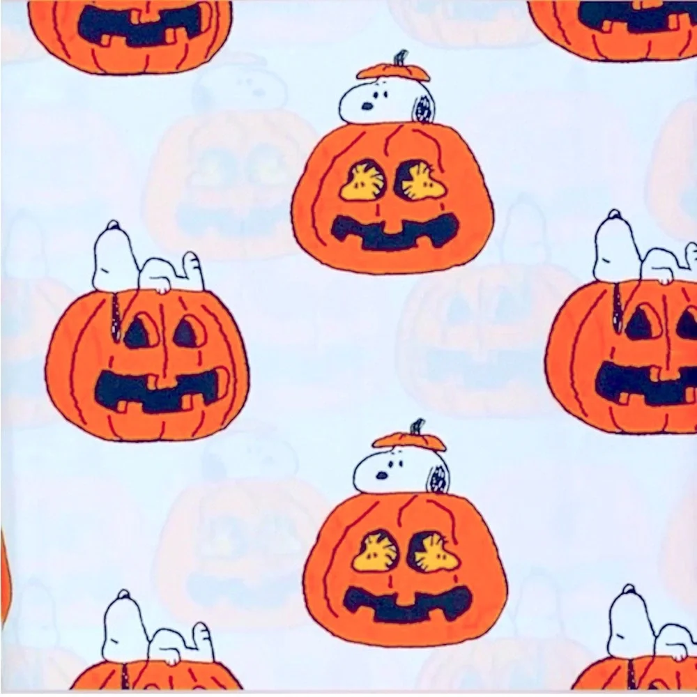 Peanuts 4pc pumpkin